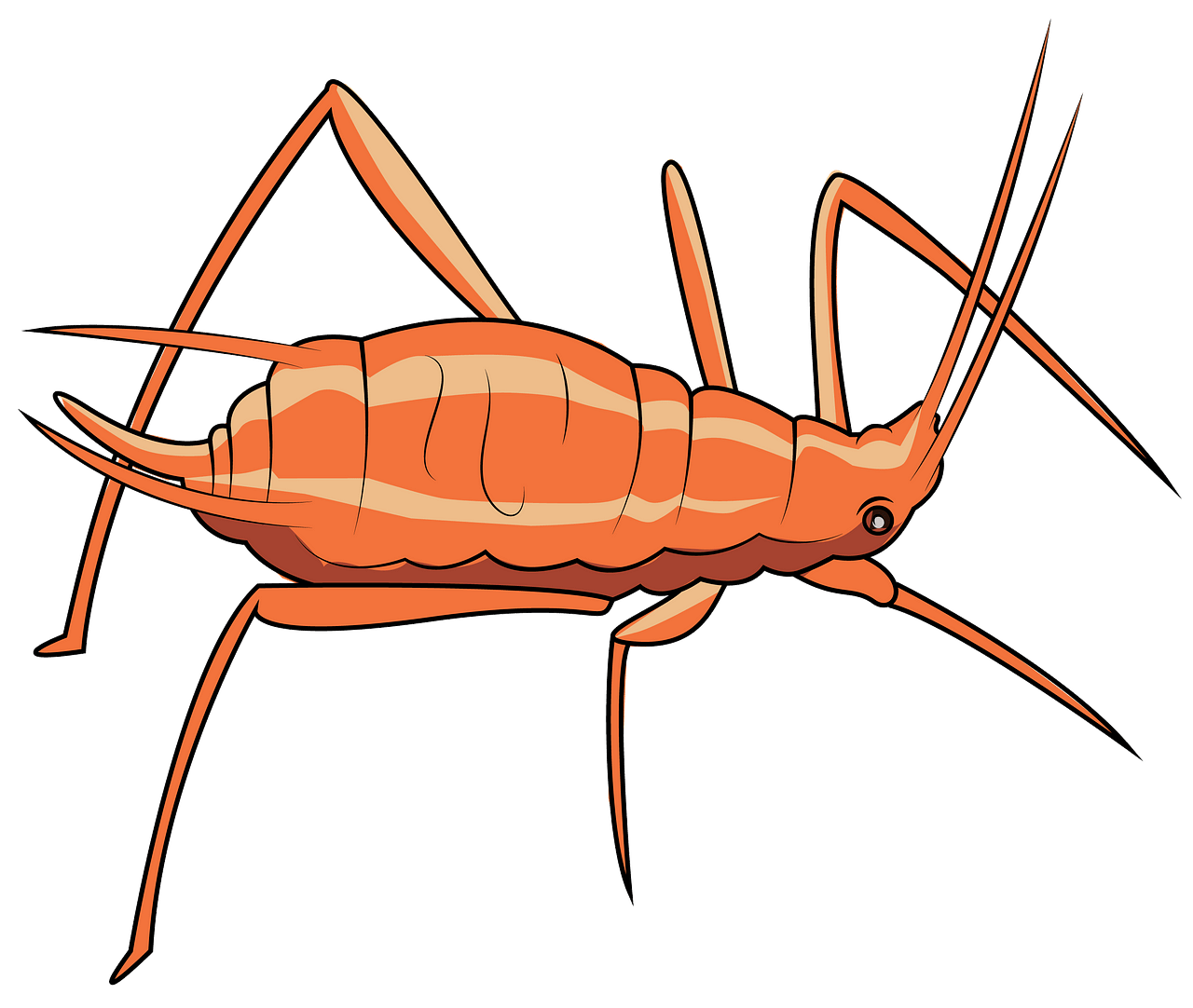 Pea Aphid clipart. Free download..