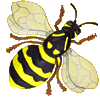 Bee Clipart Picture, Bee Gif, Png, Icon Image.