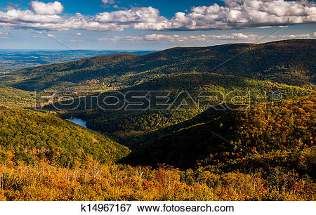 Picture of Early autumn view of the Appalachians from Moormans.