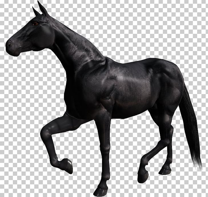 Breyer Animal Creations Appaloosa Stallion Arabian Horse Model Horse.