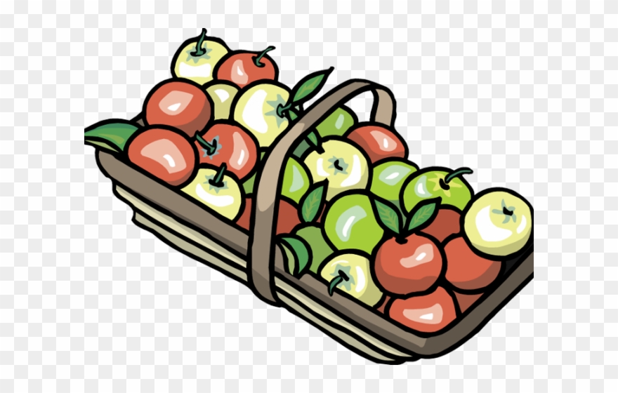 apple basket clip art 20 free Cliparts | Download images on Clipground 2023