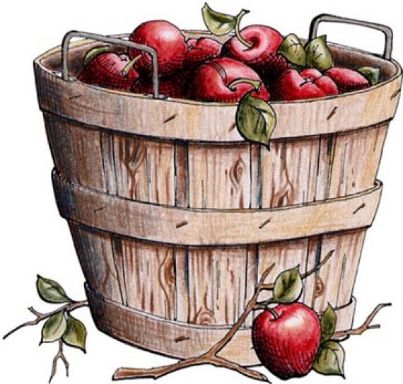 Best Apple Basket Clipart #21663.