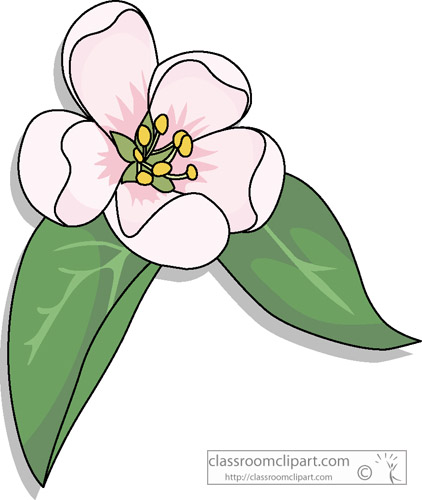 Apple blossoms clipart 20 free Cliparts | Download images on Clipground ...