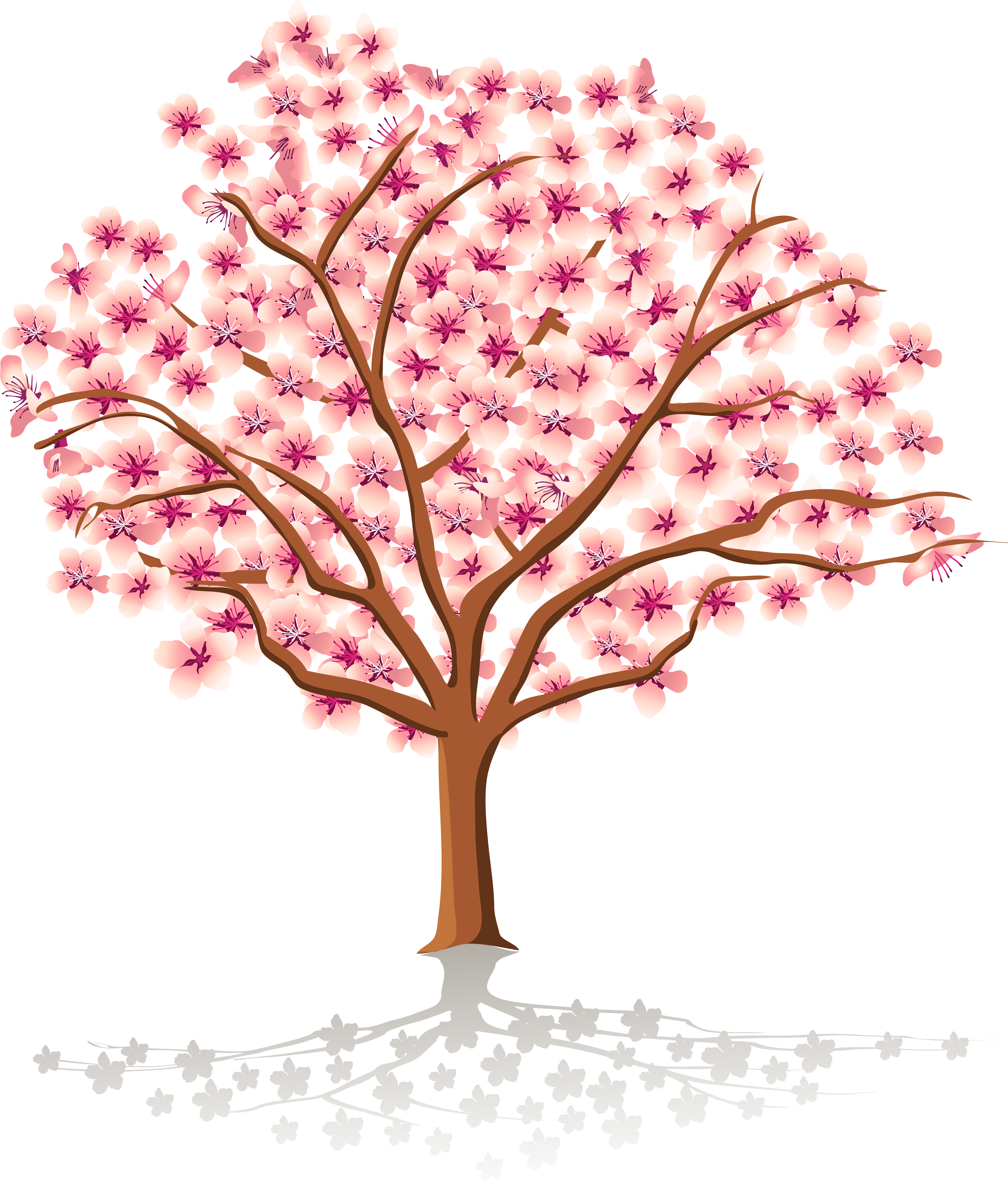 Transparent Spring Tree Png Clipart.