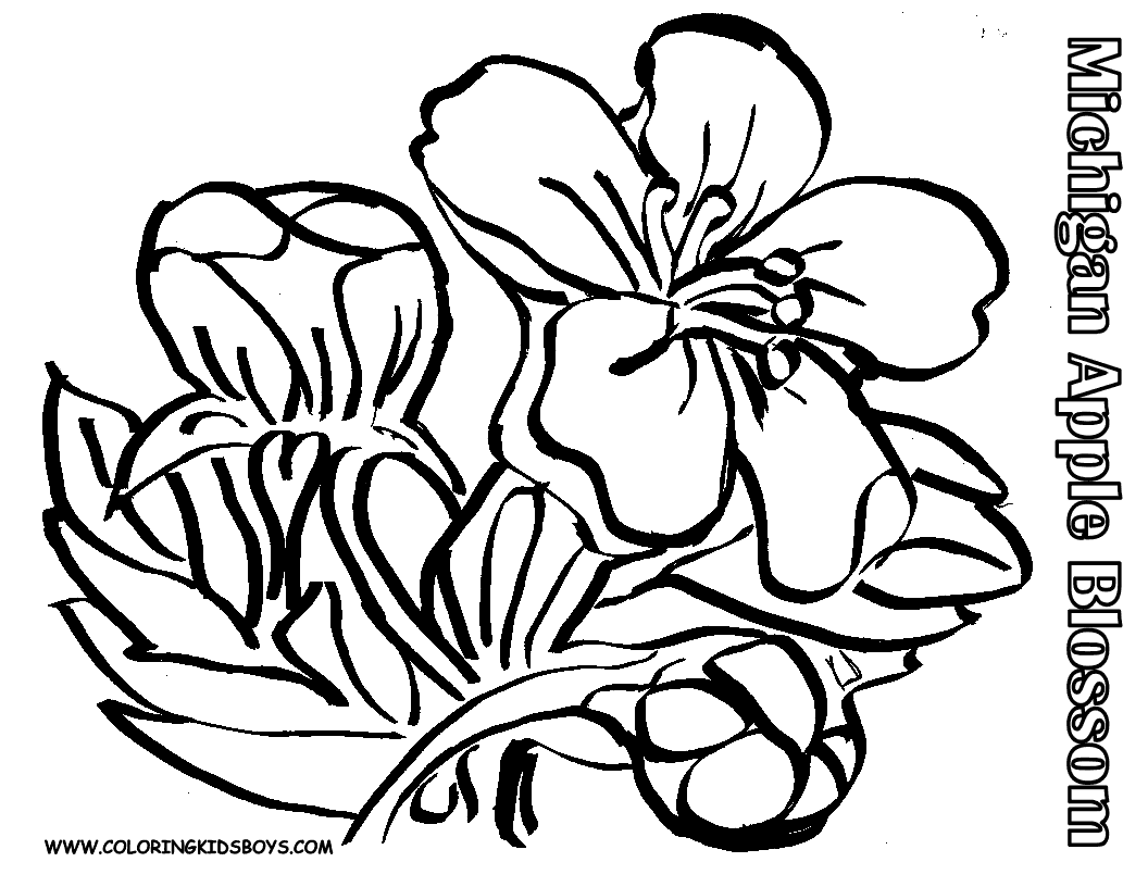 Free Apple Blossom Coloring Page, Download Free Clip Art.