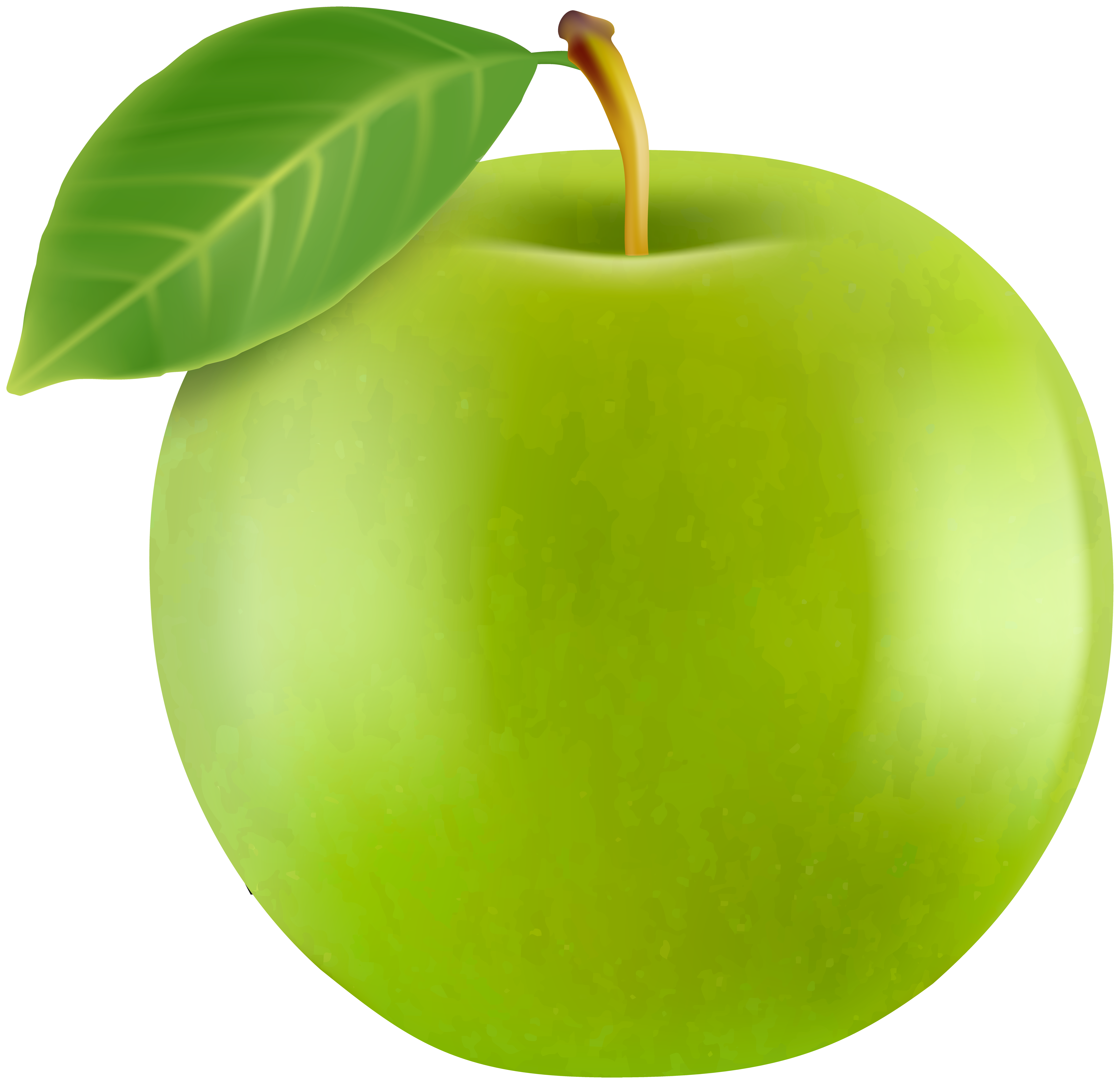 Realistic Green Apple PNG Clipart.