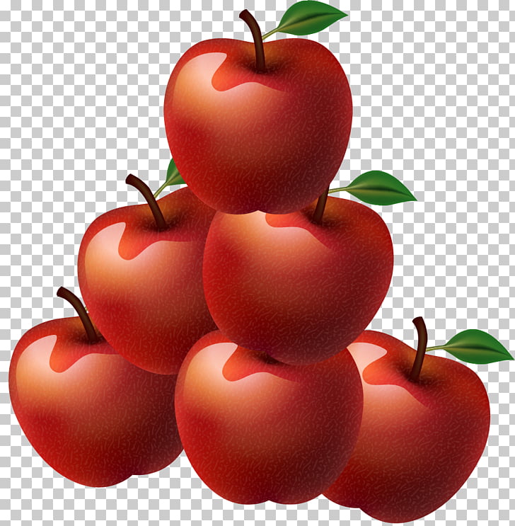 Bush tomato Barbados Cherry Vegetarian cuisine Cranberry.