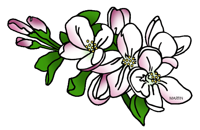 Apple blossom clip art.