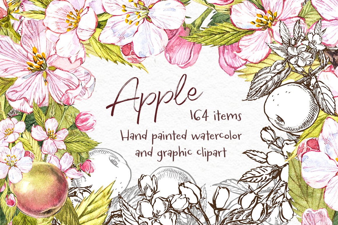 Apple.Graphic & Watercolor clipart By Astro Ann.