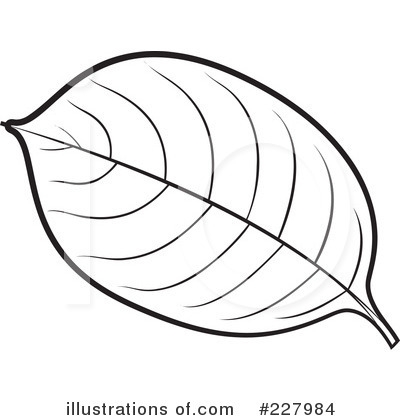 Apple Leaf Clipart Black And White & Free Clip Art Images #2393.