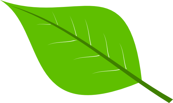 Free download Large Green Leaves Clipart for your creation.