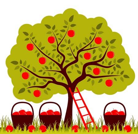 Apple orchard chalk clipart clipart images gallery for free.