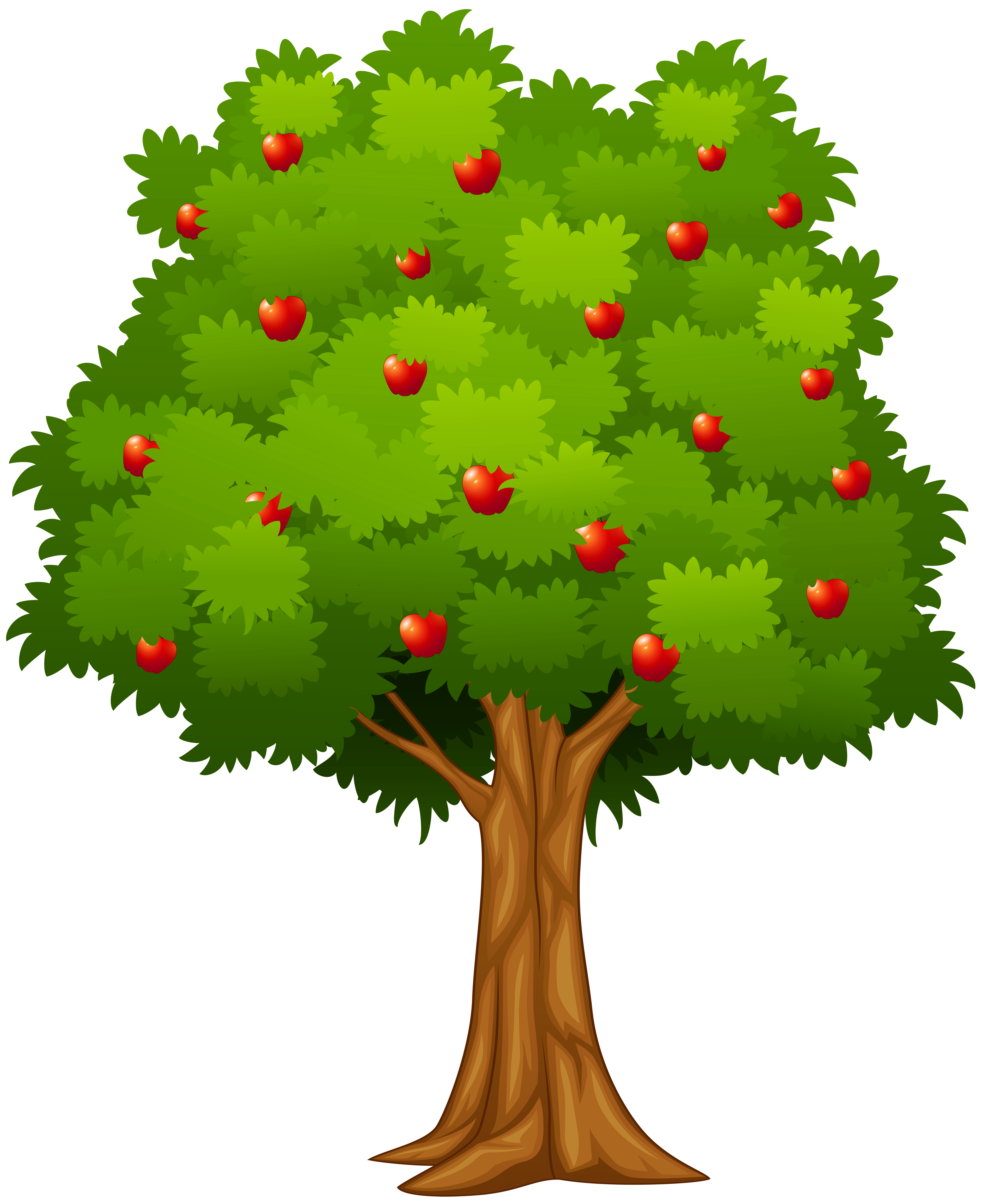Apple Tree PNG Clip Art Image.