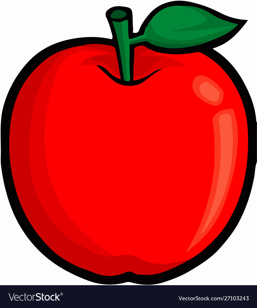 Apple on white background vector image.