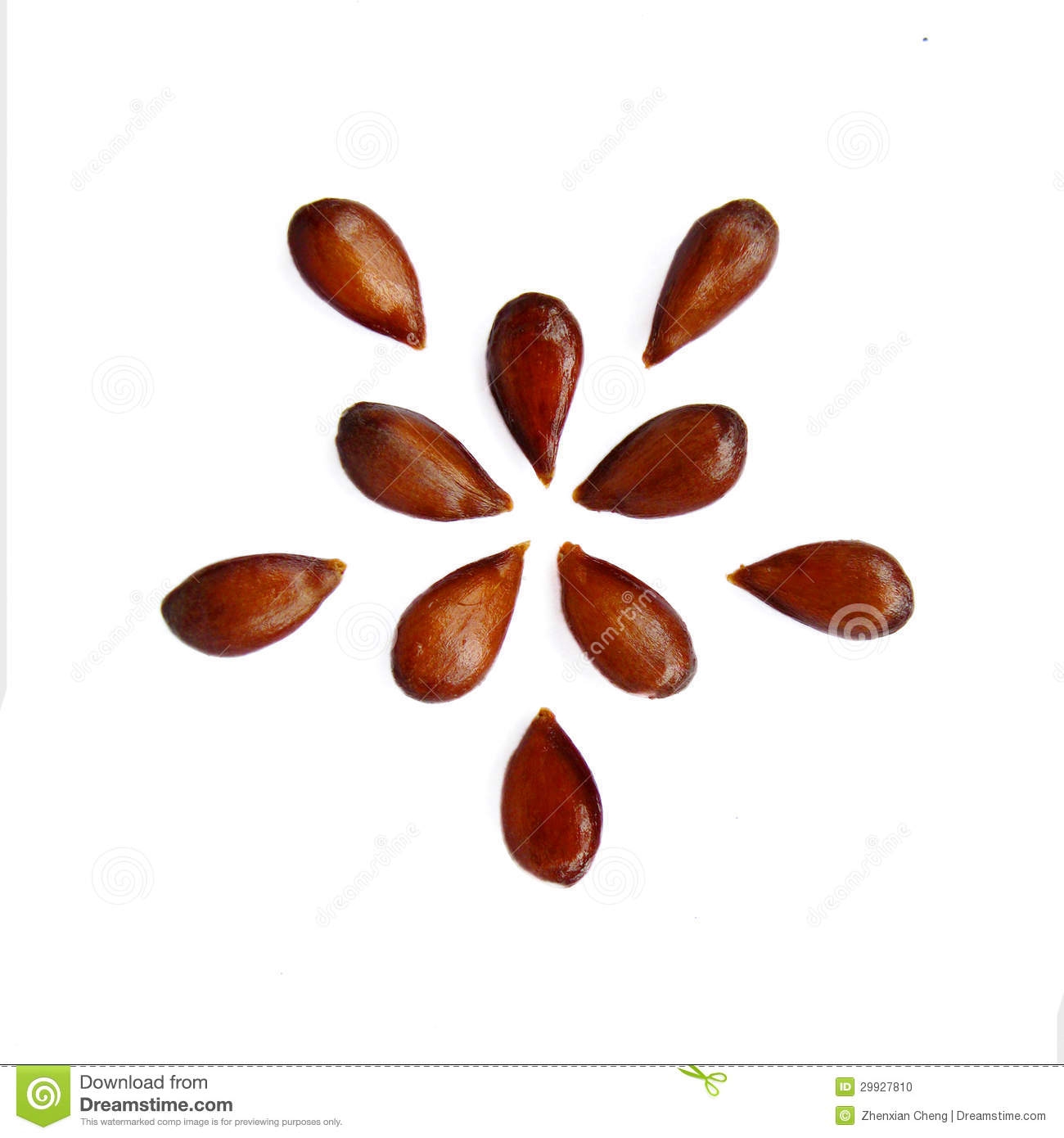 Apple Seeds Pattern Clipart.