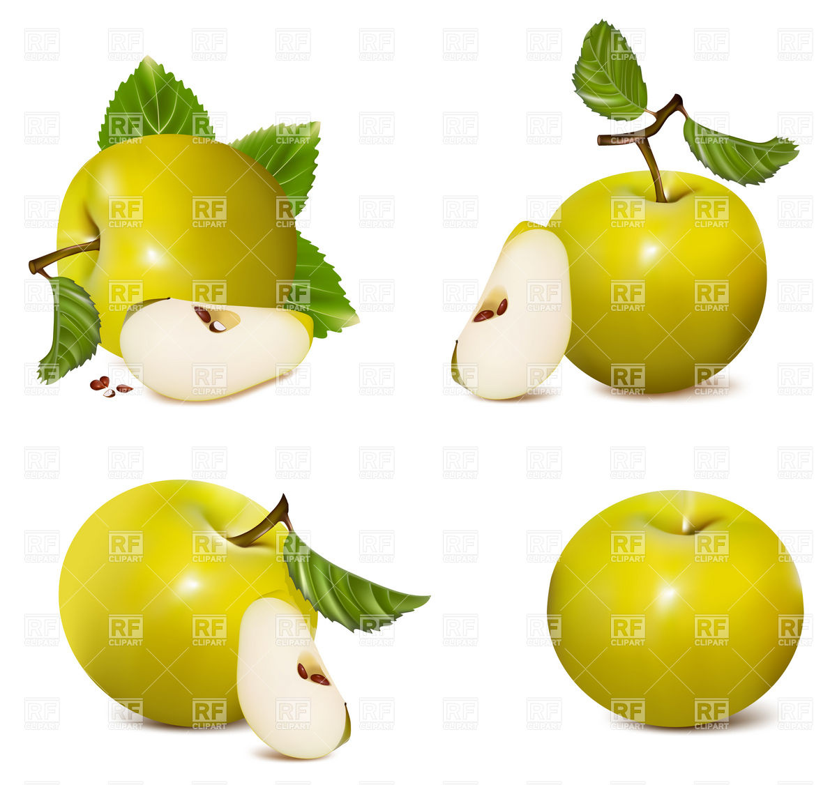 Green apples with leaf and apple slice Stock Vector Image.