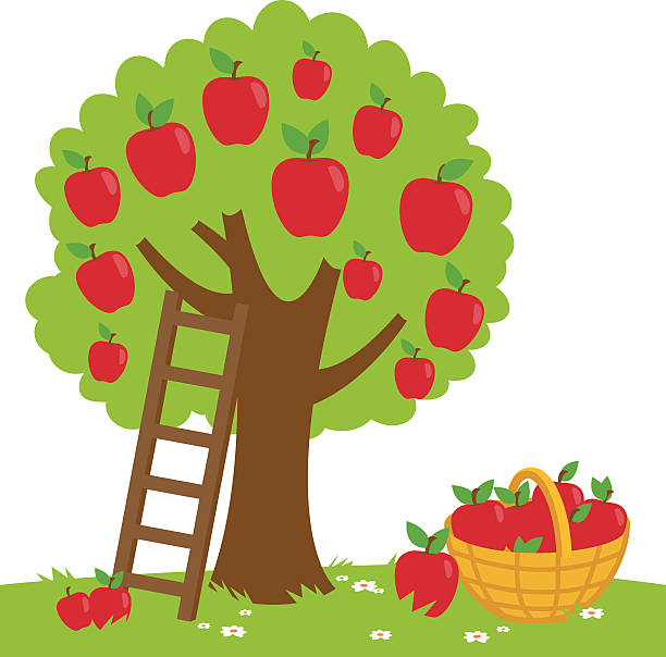 apple-tree-clip-art-20-free-cliparts-download-images-on-clipground-2022