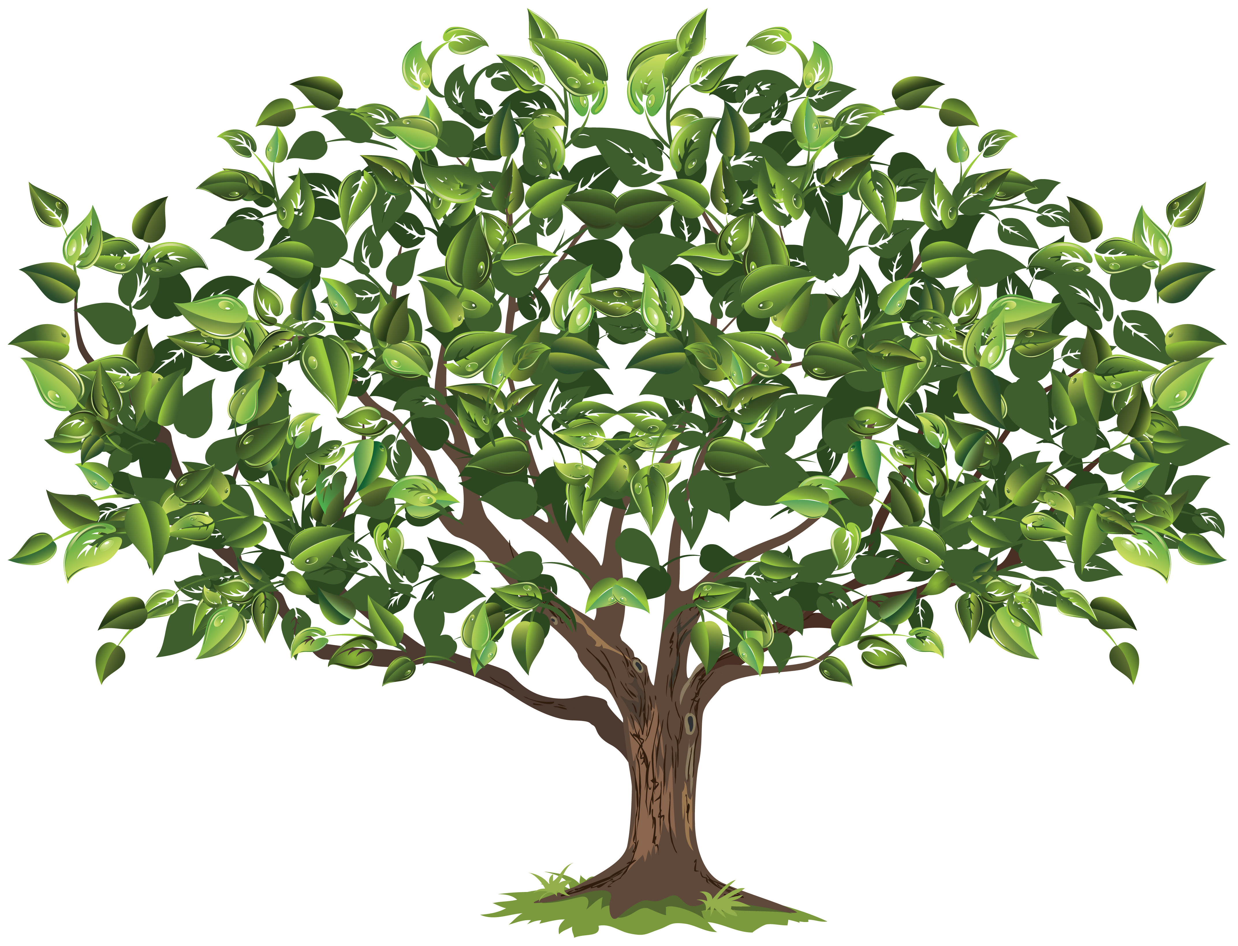 tree with trunk clipart branches 20 free Cliparts | Download images on