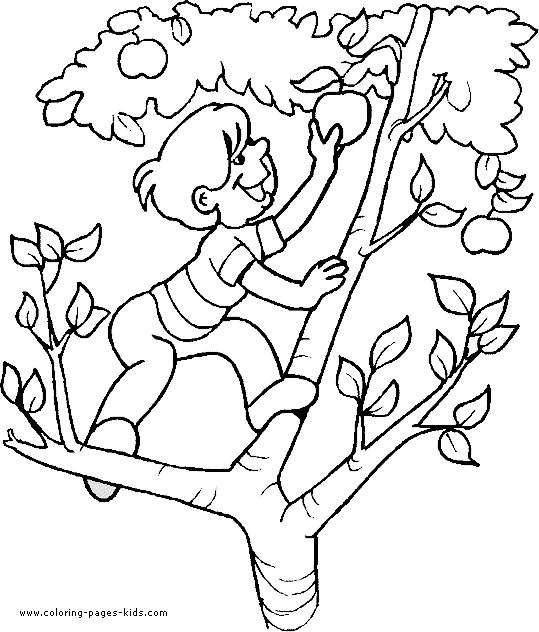 Boy climbing an apple tree Boy color page, family people.