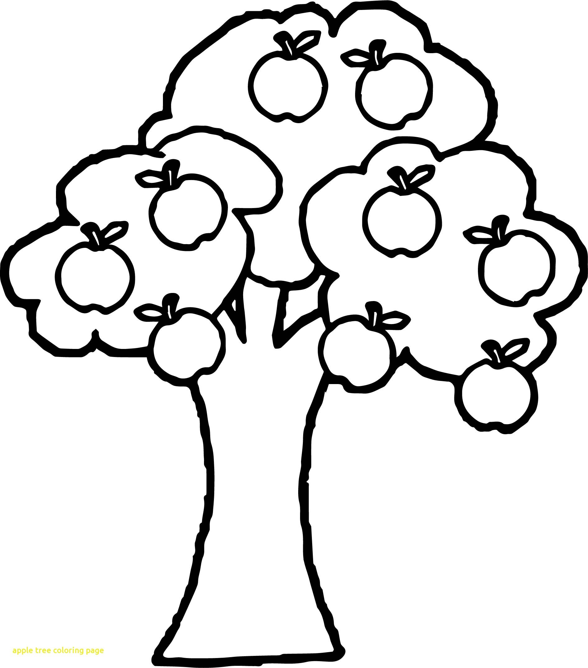 apple tree clipart coloring book 10 free Cliparts Download images on