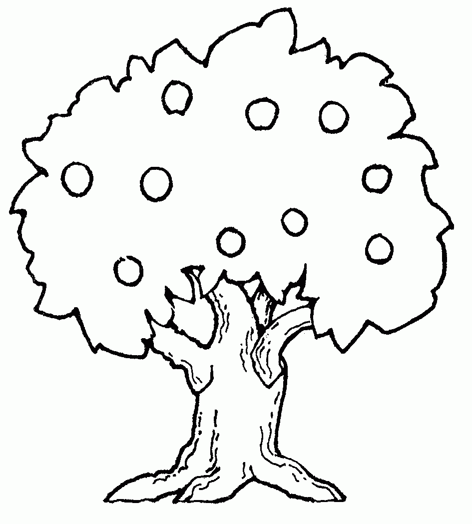Fruit Tree Clipart Black And White.