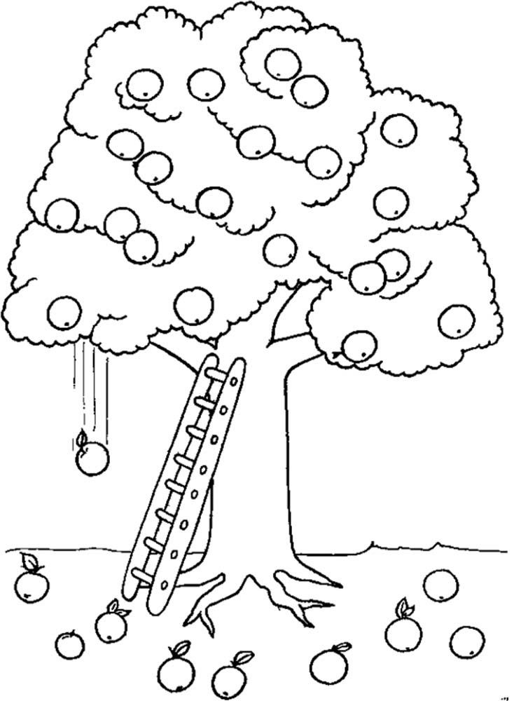 Free Apple Tree Pictures To Color, Download Free Clip Art.