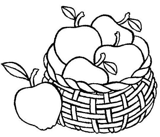 Basket Of Apples Clipart Black And White.