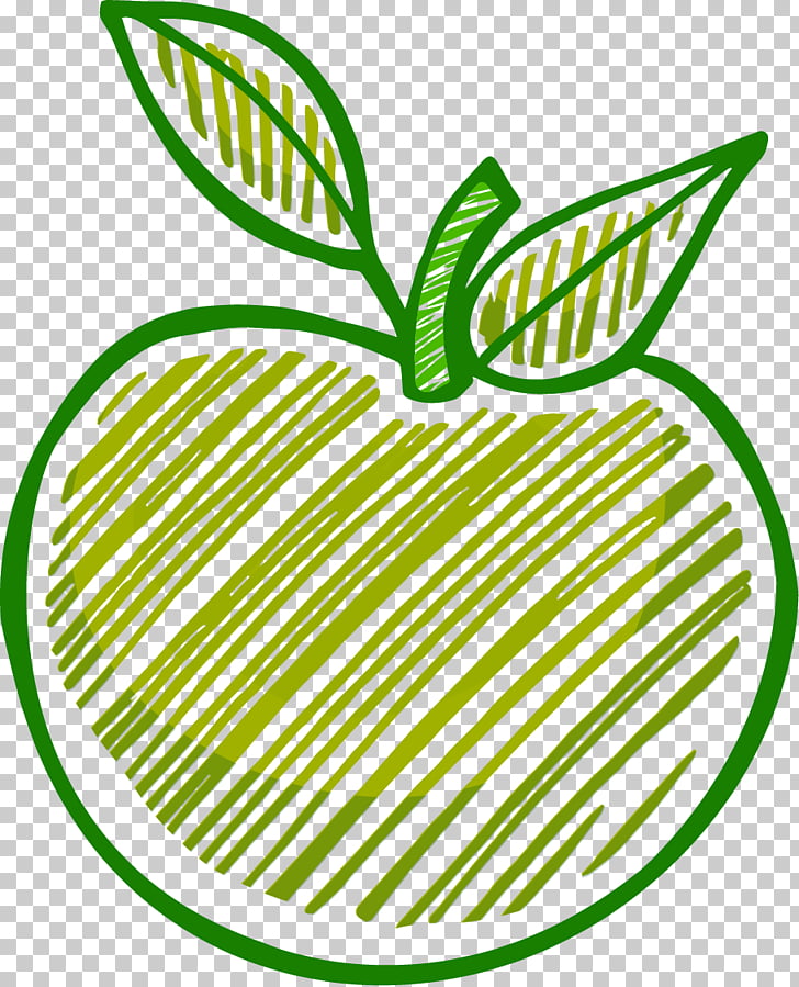 Drawing Apple, line drawing apples PNG clipart.