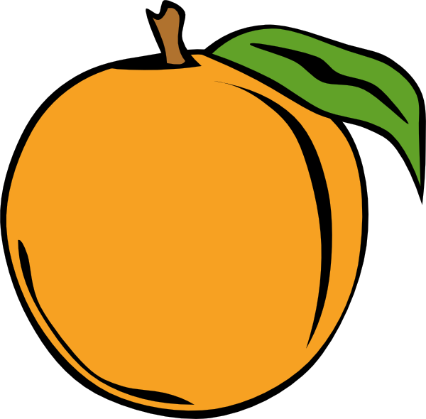 Apricot Clipart.