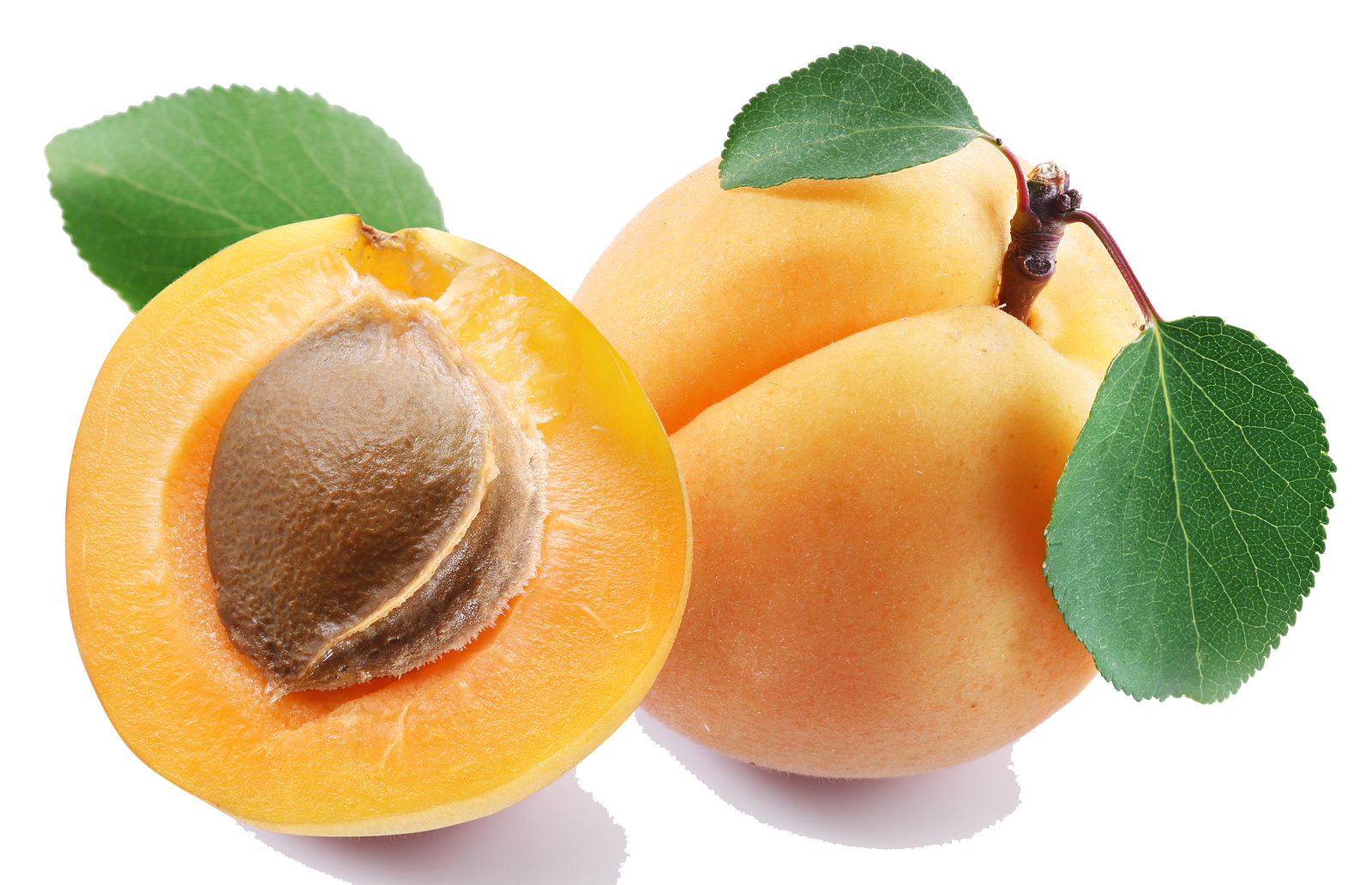 Apricot PNG Clipart.
