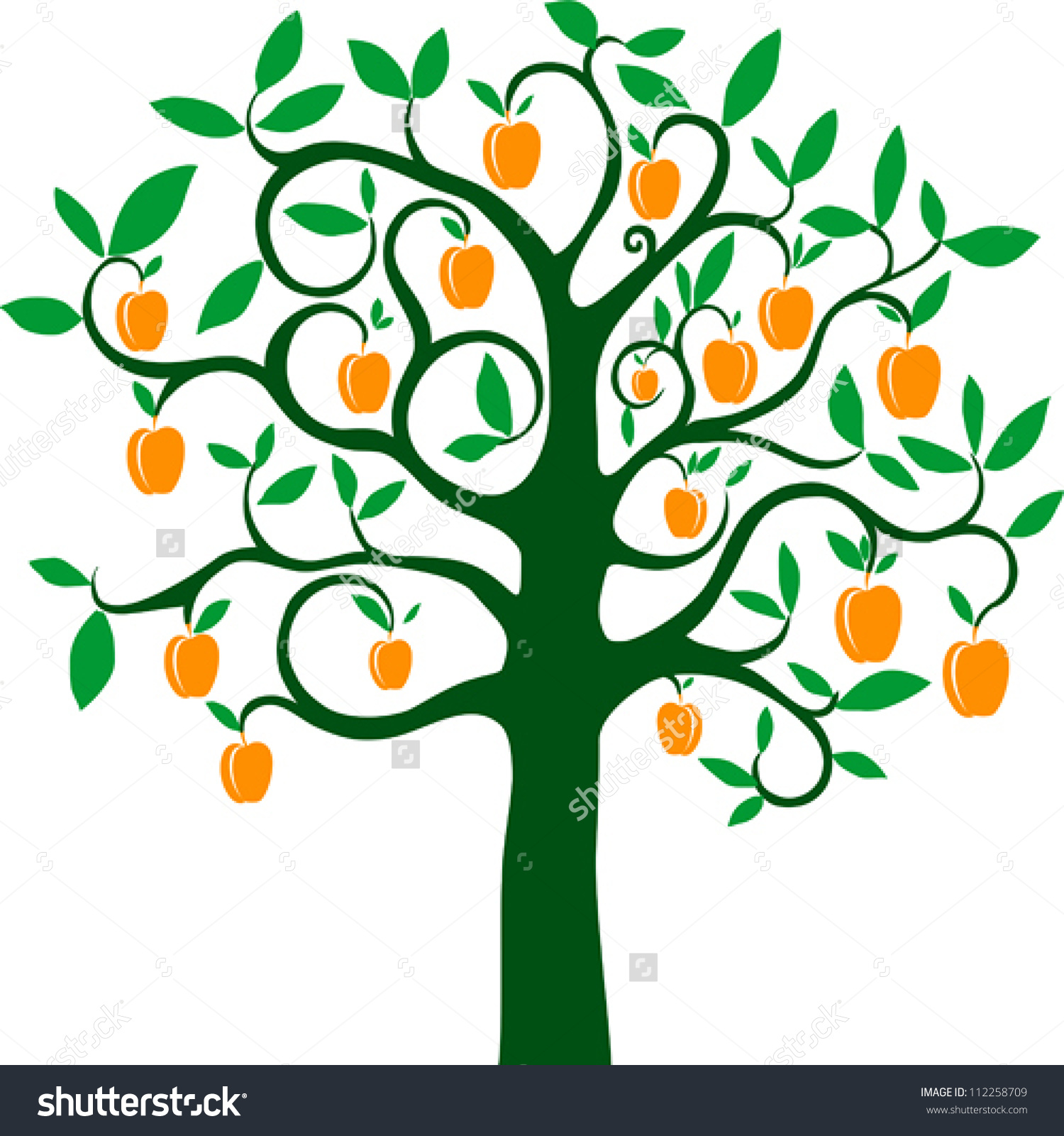 Clipart of apricot tree.