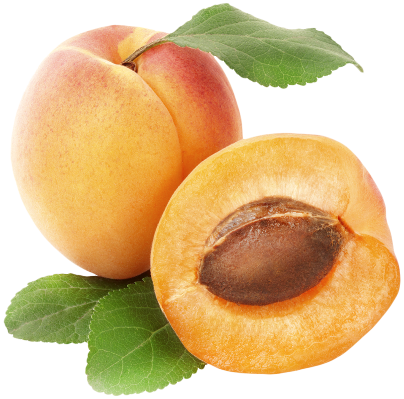 Apricots PNG Clipart.