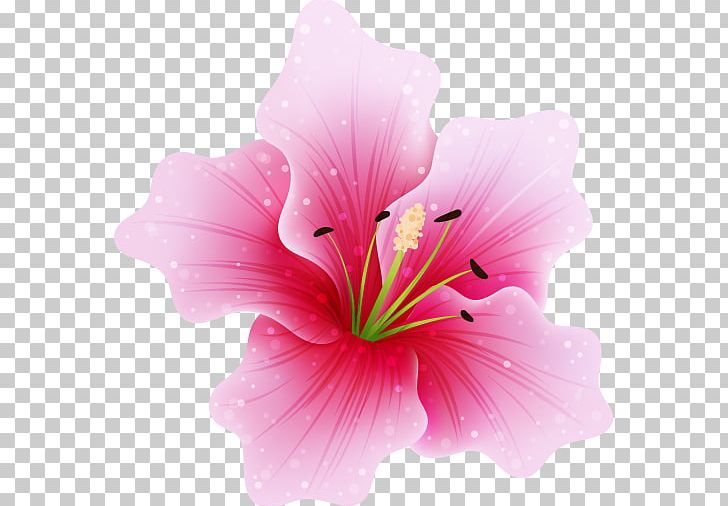 Pink Flowers Fuchsia PNG, Clipart, Clip Art, Color, Flower.