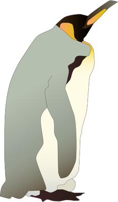 Aptenodytes forsteri (Emperor Penguin).