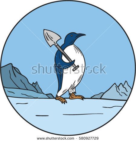 1000+ ideas about Penguin Species on Pinterest.