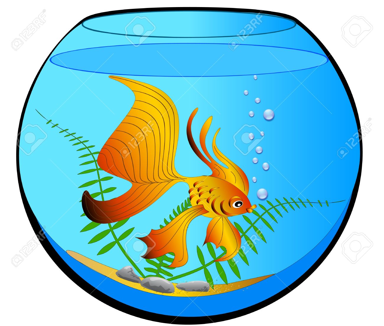 Aquarium Clipart.