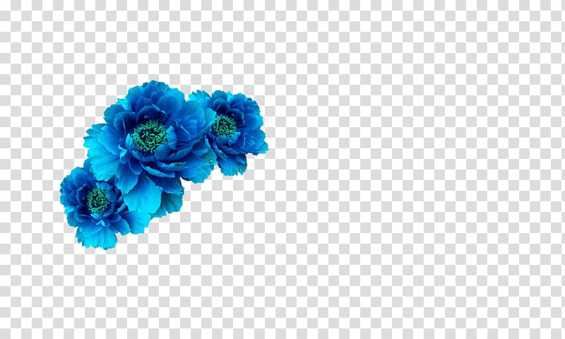 Blue flowers illustration, Blue Flower Crown Wreath Aqua.