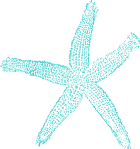 Maehr Aqua Starfish Clip Art at Clker.com.