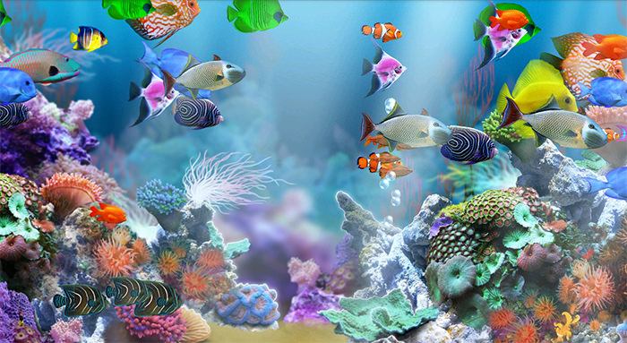 50+ Best Aquarium Backgrounds.