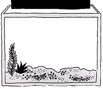 Fish Tank Clipart Black And White.