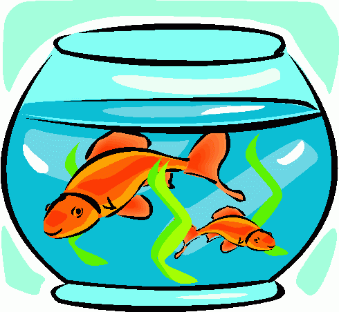 Free Fish Tank Clipart, Download Free Clip Art, Free Clip.