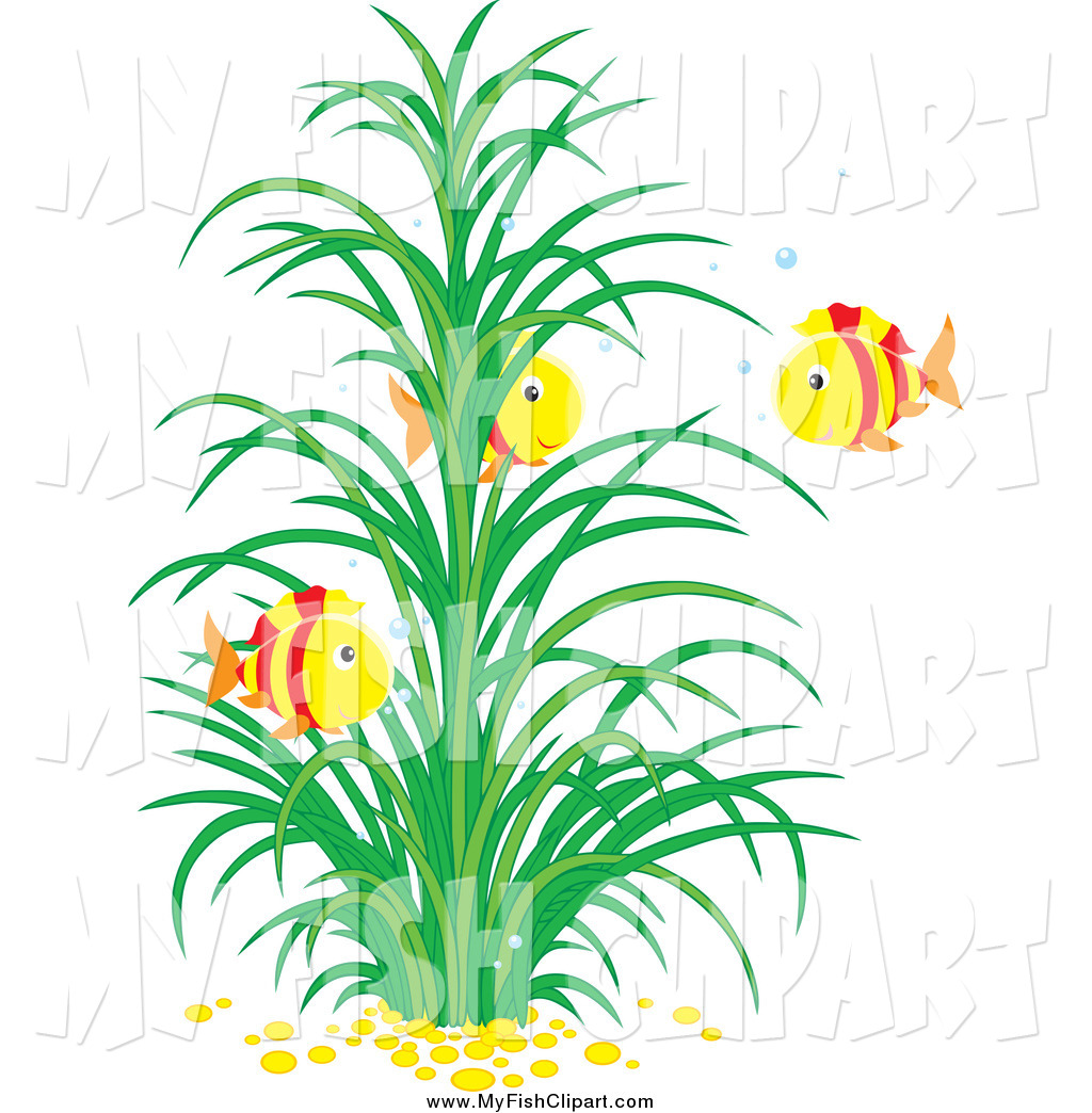 Aquatic Plant Clip Art.