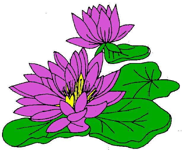 Lilly Clipart.