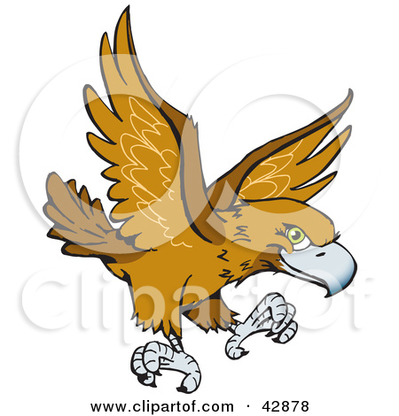 Aquila clipart 20 free Cliparts | Download images on Clipground 2023