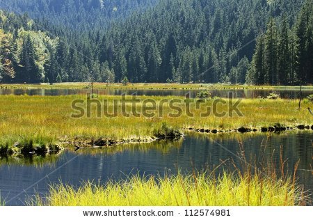 Lake Arbersee Stock Photos, Images, & Pictures.
