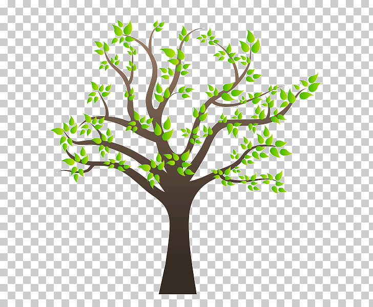 Family tree Family tree , arboles PNG clipart.