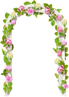 Arbor clipart 20 free Cliparts | Download images on Clipground 2024