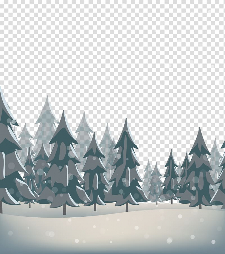 Snow Pine, forest transparent background PNG clipart.