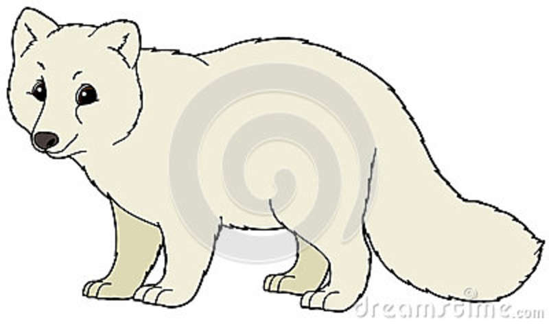 Arctic Fox Cartoon.