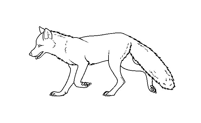 arctic fox outline clipart 10 free Cliparts | Download images on